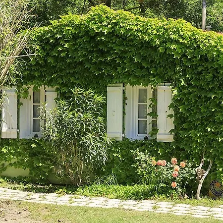 Casa vacanze Les Du Domaine De Rhodes Avignone